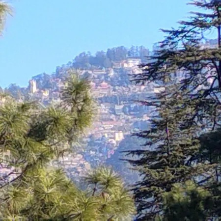 Thakur Homes Shimla Exterior photo
