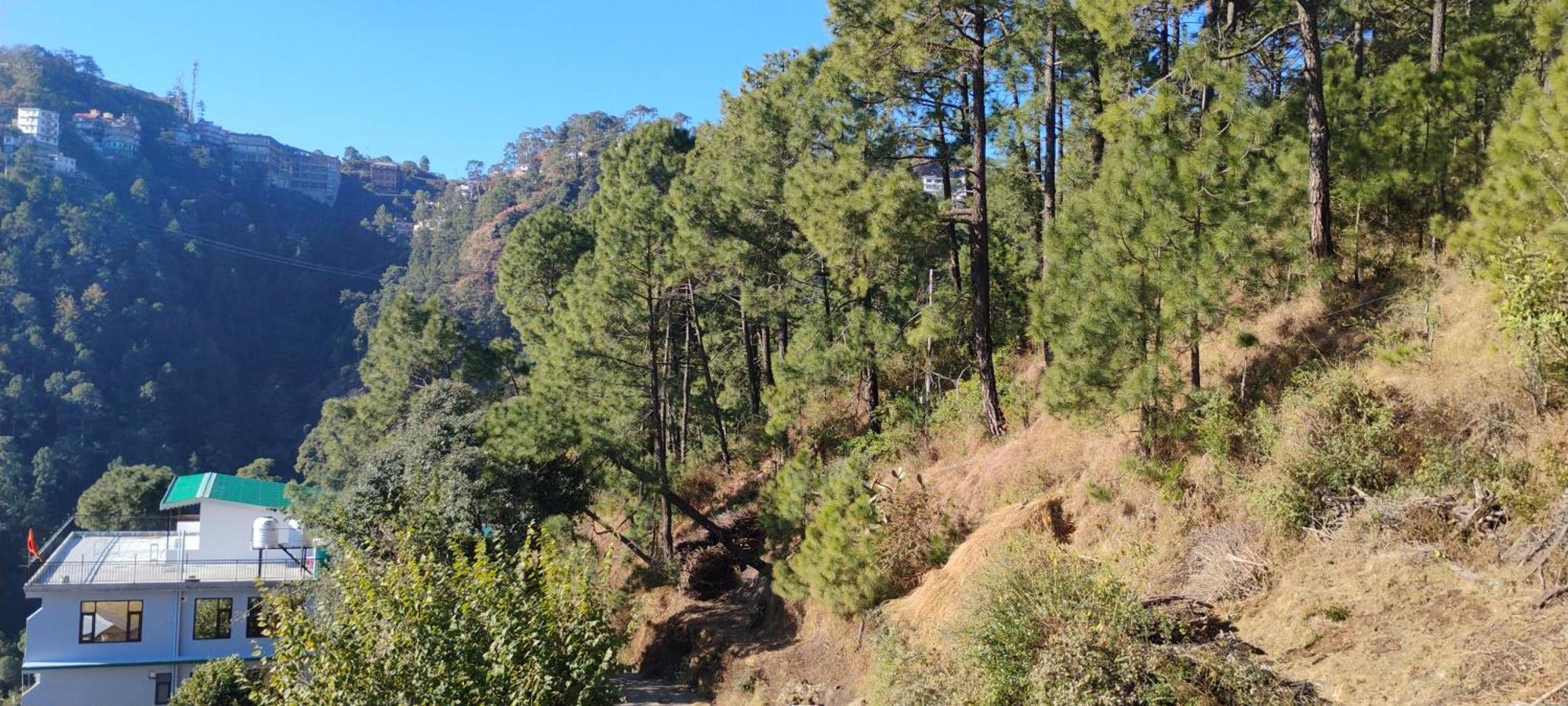 Thakur Homes * Shimla